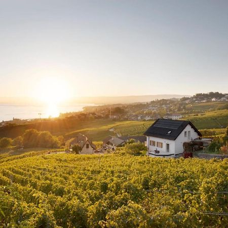 Hotel #Lavaux Lutry Exterior foto